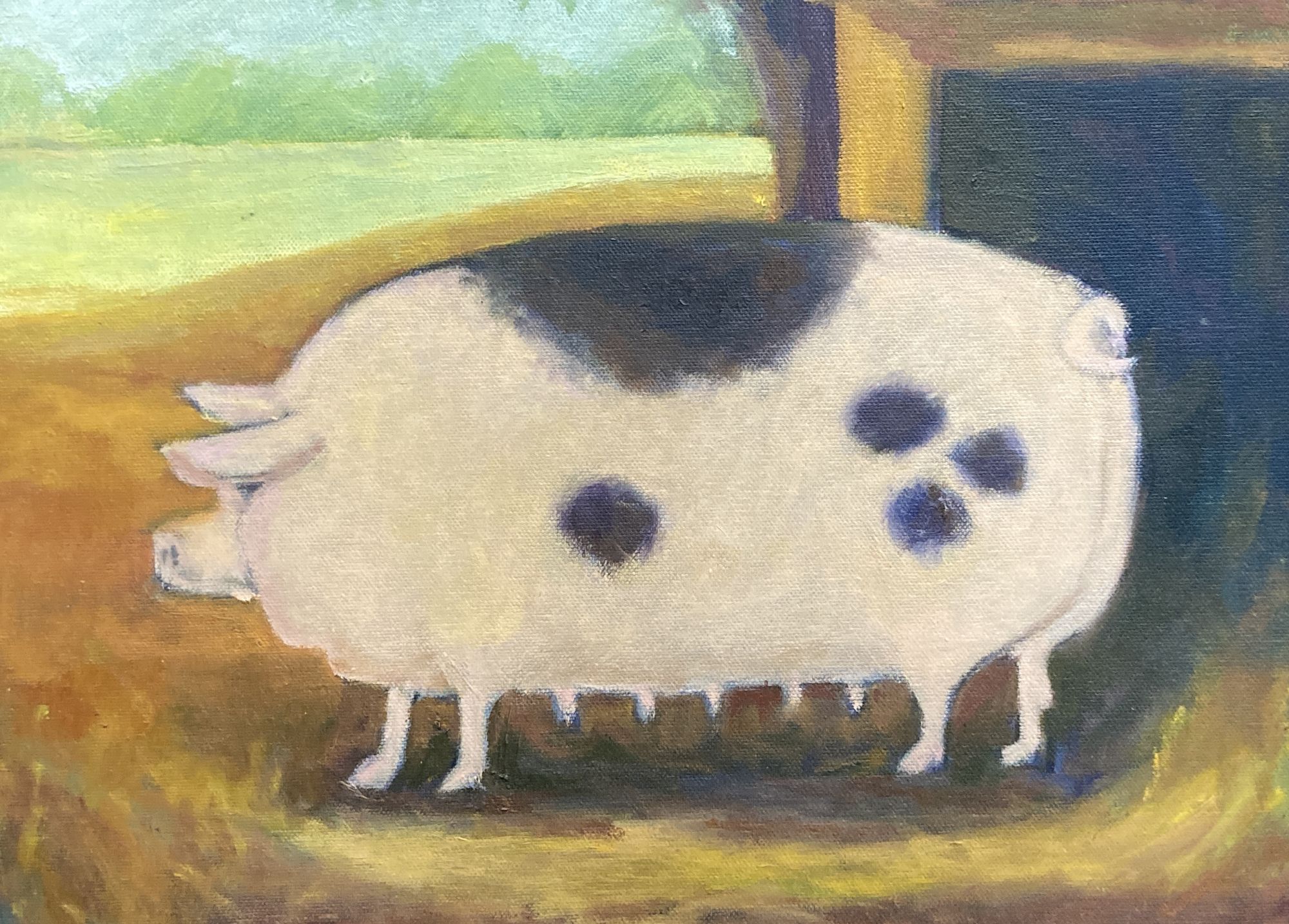 Gill Speirs, oil on canvas, Naive study of a sow, signed and dated 2017 verso, 29 x 39cm